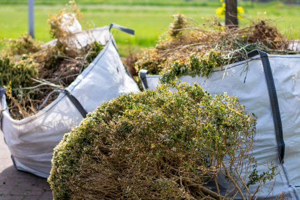 Best Office Junk Removal  in La Harpe, IL